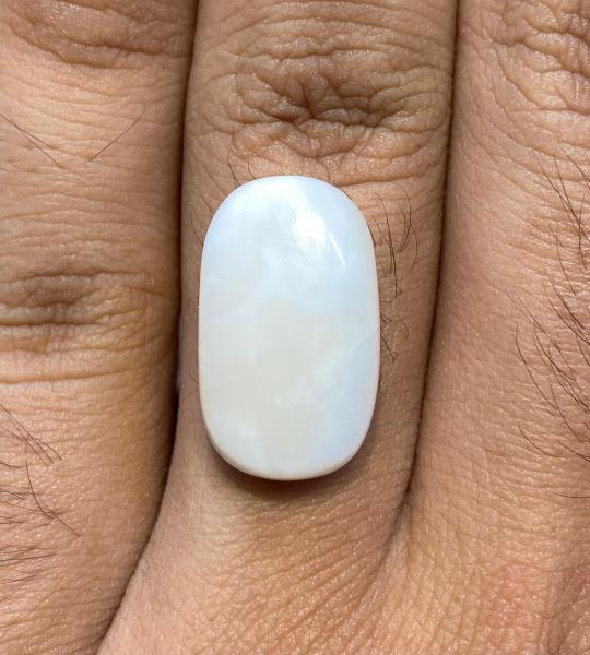 Natural Coral – 14.560 Ct