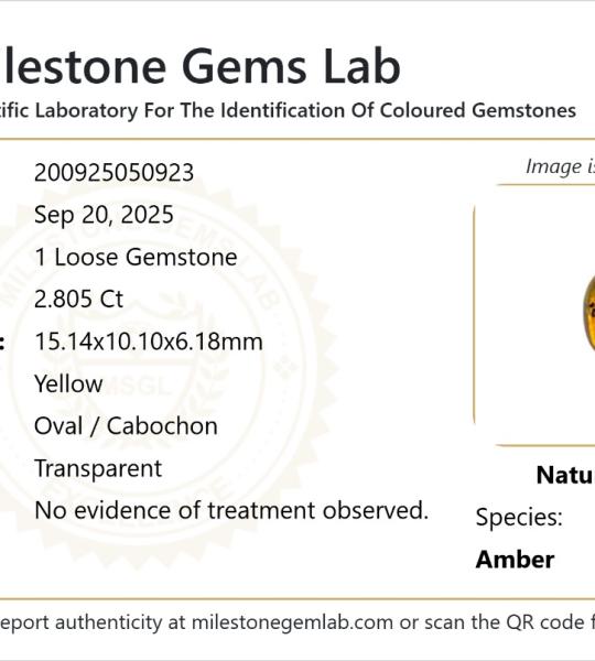 Natural Amber 2.805 Ct