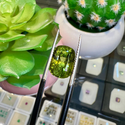 Natural Tourmaline - 4.820 Ct