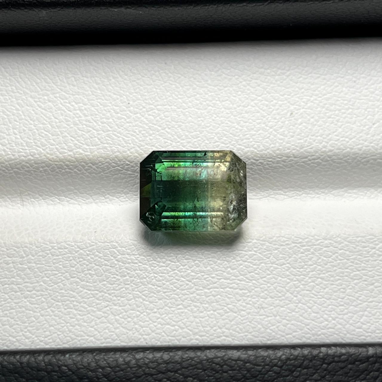 Natural Bi-Color Tourmaline - 6.44 Ct