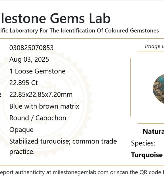 22.895 Ct Natural Turquoise