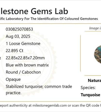 22.895 Ct Natural Turquoise