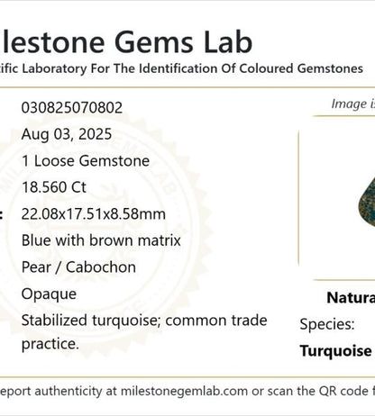 18.56 Ct Natural Turquoise