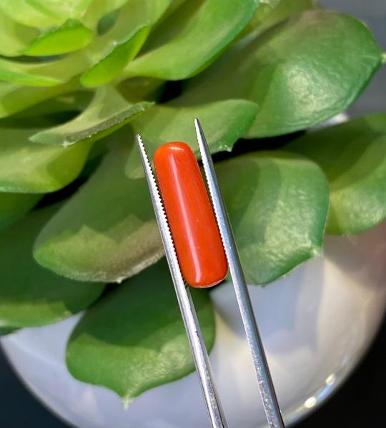 Natural Coral – 5.145 Ct