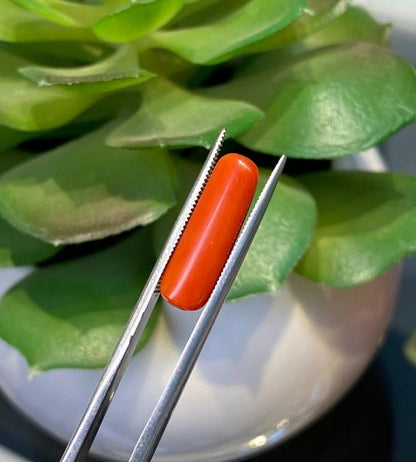 Natural Coral – 5.145 Ct