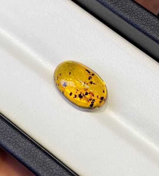 Natural Amber 2.805 Ct